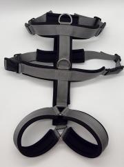 Klicken zum Vergrössern