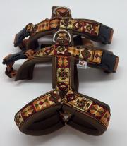 Klicken zum Vergrössern