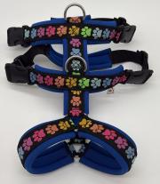 Klicken zum Vergrössern