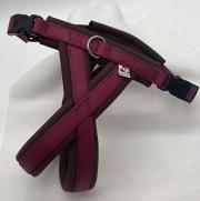 Klicken zum Vergrössern