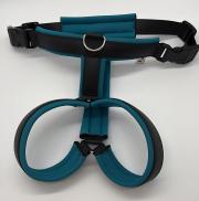 Klicken zum Vergrössern