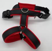 Klicken zum Vergrössern