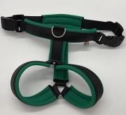 Klicken zum Vergrössern