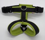 Klicken zum Vergrössern