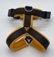 Klicken zum Vergrössern