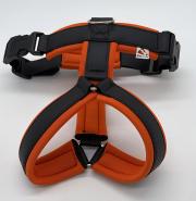 Klicken zum Vergrössern