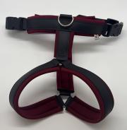 Klicken zum Vergrössern