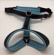 Klicken zum Vergrössern