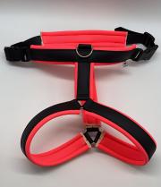 Klicken zum Vergrössern