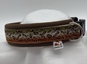 Klicken zum Vergrössern