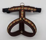 Klicken zum Vergrössern