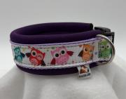 Klicken zum Vergrössern